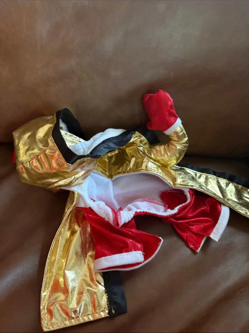 Boxing Champ Frontal dog S Halloween costume